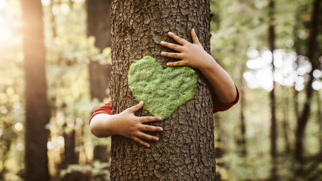 La necesaria conversión ecológica
