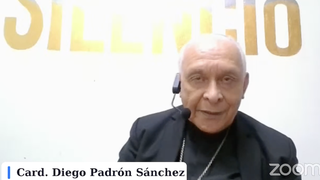 El cardenal Padrón durante su intervención