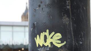 Algunas pinceladas sobre lo "woke"