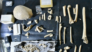 Identificados los restos de Teodomiro, el obispo que descubrió la tumba de Santiago en Compostela