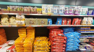 Una sociedad de perros y gatos (y otros animales de compañía)