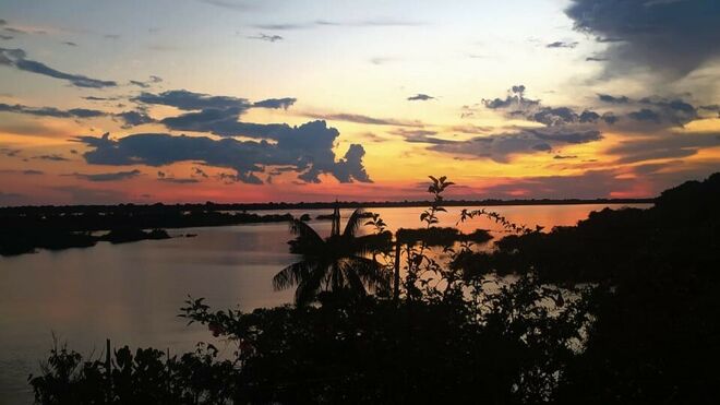 Amazonia