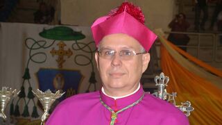 Raúl Biord Castillo
