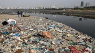 El basural de Mahim Beach, en Mumbay