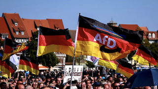 Seguidores del AfD