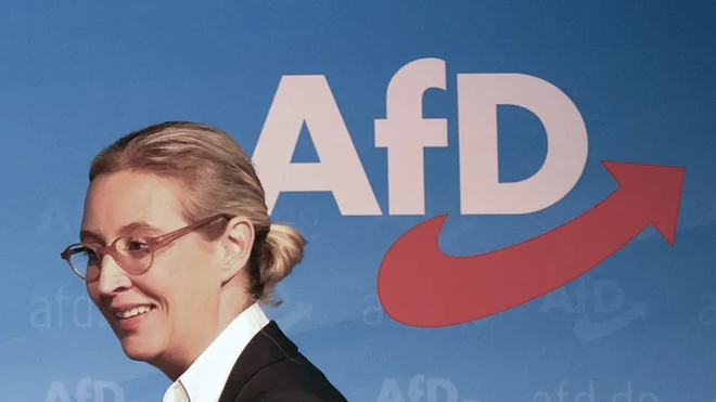 Alice Weidel, copresidenta de AfD