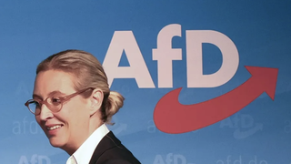 Alice Weidel, copresidenta de AfD