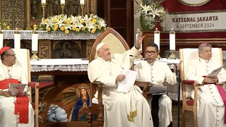 El Papa preguntó cuántos seminaristas había, y les saludó