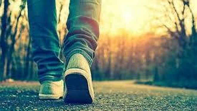 Camino