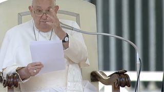 Francisco, en la audiencia general