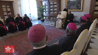 Francisco recibe a los obispos de Mozambique