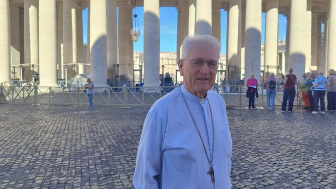 Cardenal Steiner