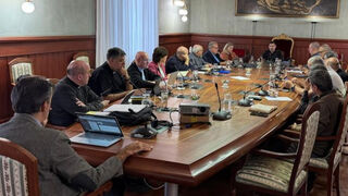 Consejo Mixto en la Archidiócesis de Madrid