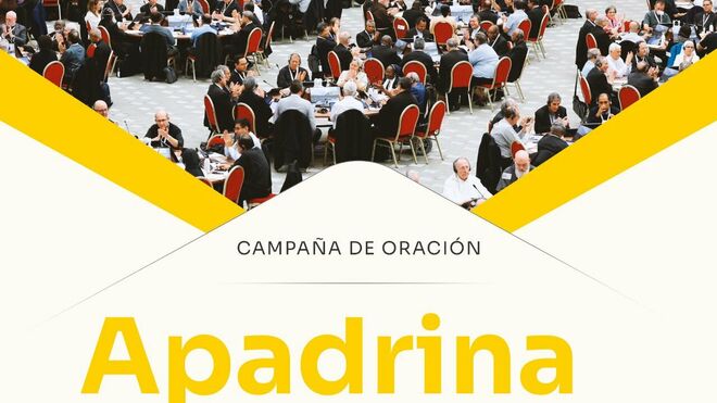 'Apadrina a un sinodal'