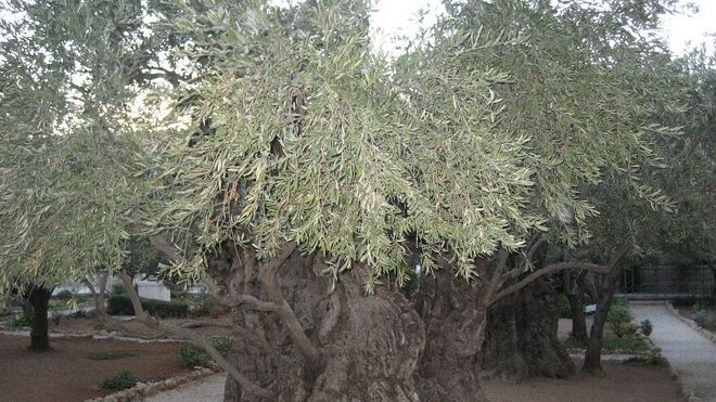 8 de octubre, Mes del Rosario