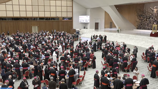 Panorámica de la Asamblea Sinodal