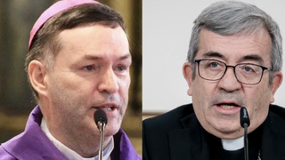 Berzosa y Argüello