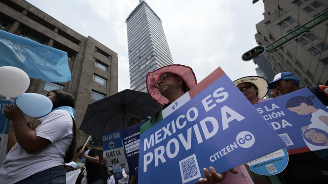 Manifestación pro vida en México DF