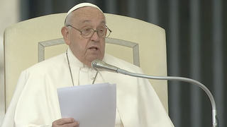 Francisco, durante la catequesis en la audiencia general