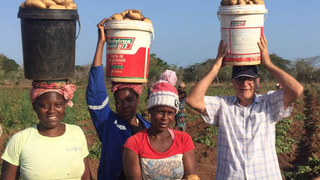 Testimonio misionero