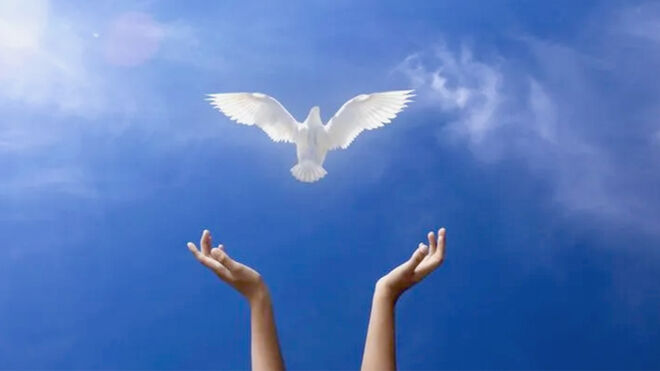 Espiritualidad