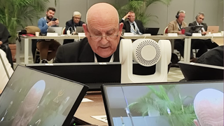 Intervención de Vicente Jiménez en el Sínodo