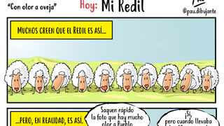 REDIL