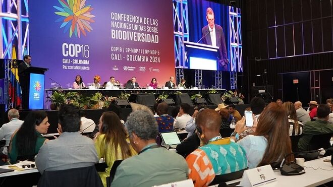 COP16