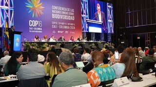COP16