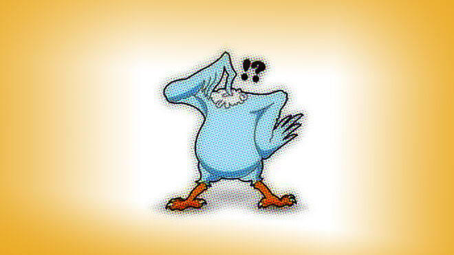 Como un pollo sin cabeza