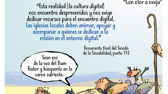 sinodo envía