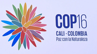 cop16