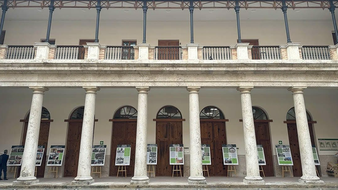 Facultad de Teología de Valencia