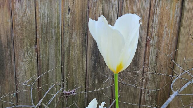 8 de noviembre: Año de oración