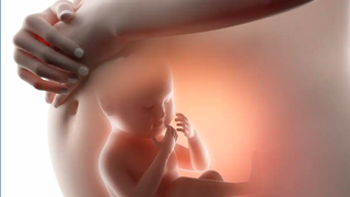 Arquidiócesis de México afirma que aborto total en CDMX es una ley innecesaria e injusta para la mujer