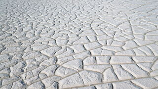 Plantearnos las grandes cuestiones