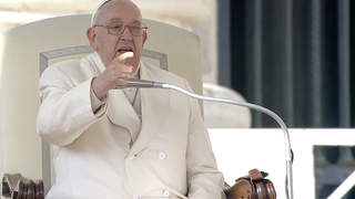 Francisco, en la audiencia general