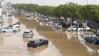 Sobrevivir en tiempos de angustia
