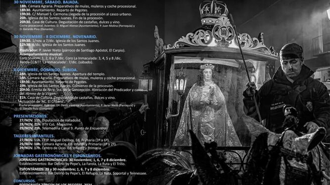 Programación en honor de la Virgen de los Pegotes