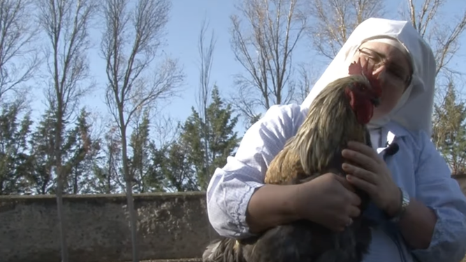 Sor Paloma, con su gallina