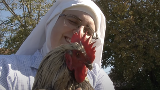 Las 'gallinas' de Belorado