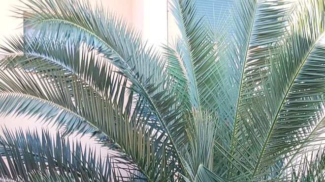 13 II Viernes de Adviento