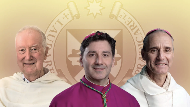 Timothy Radcliffe, Francis Leo y Jean Paul Vesco