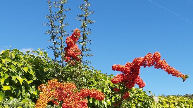 17 III Martes de Adviento