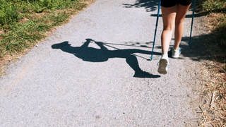 Camino de Santiago