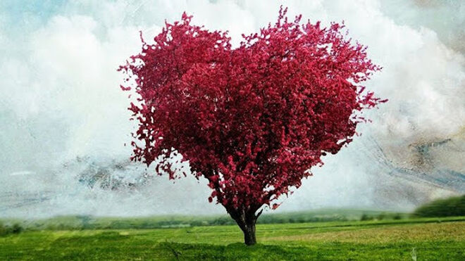 La sacramentalidad del amor