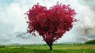 La sacramentalidad del amor