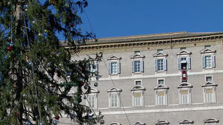 Angelus del Papa en San Esteban