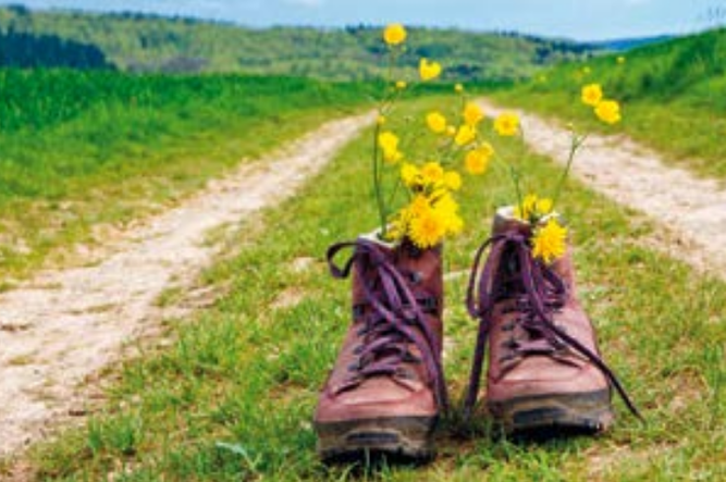 Camino