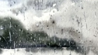 Ilustración de la portada del libro